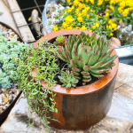 URBANR RETRO GARDEN מיכלי מתכת שהופכים לאדניות מטריפות מיכל צילינדר עגול קורטן נמוך CORTEN STEEL PLANTER ROUND LOW (1)