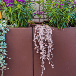 URBANR RETRO GARDEN תמונות אתר מיכלי מתכת שהופכים לאדניות מטריפות מלבן ברזל מגולוון צבוע אלקטרוסטטי (4)