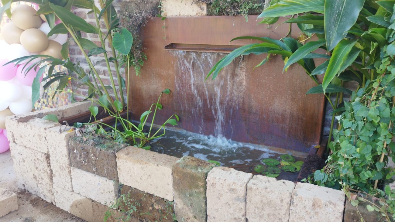 Category Image